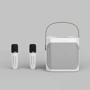 High Power Karaoke Bluetooth Speaker With Dual Microphone V1142-LP1005006966356393