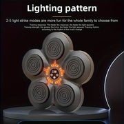 Boxing Training Kit With Reactive Led Wall Punching Target V1142-LP190334