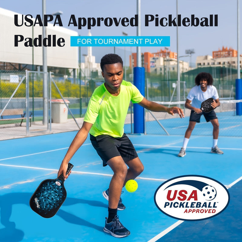 Pickleball Paddle Set 4-Pack Fiberglass Beginners V1142-LP601099612952655