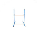 Dog Agility Training Set for Pets V1142-LP601100798127847