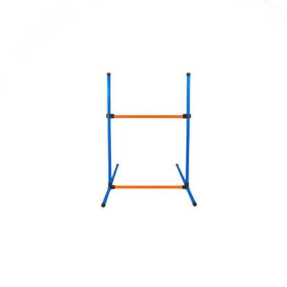 Dog Agility Training Set for Pets V1142-LP601100798127847