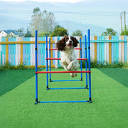 Dog Agility Training Set for Pets V1142-LP601100798127847