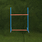 Dog Agility Training Set for Pets V1142-LP601100798127847