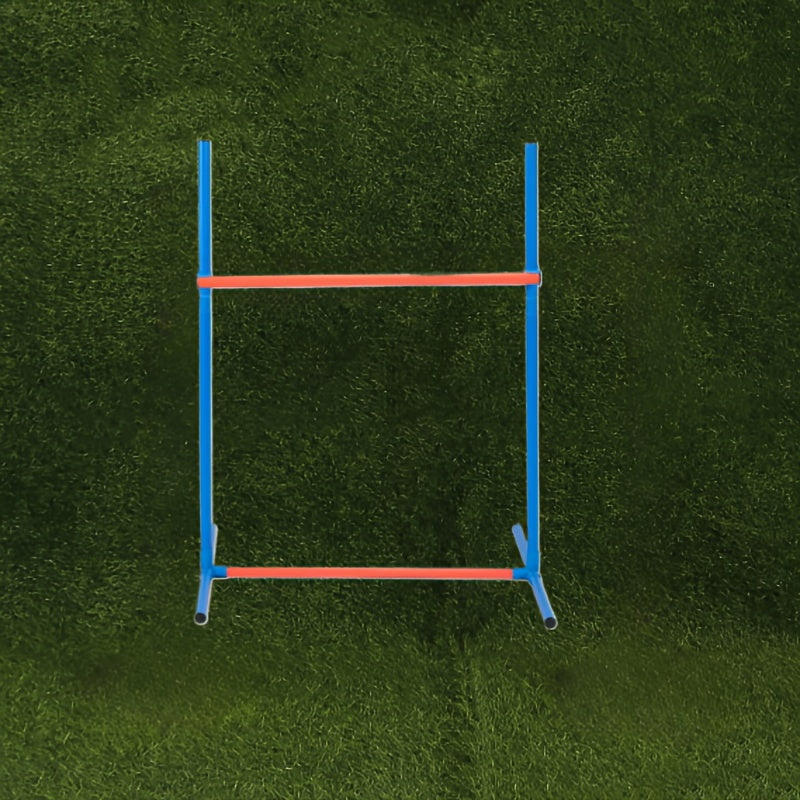 Dog Agility Training Set for Pets V1142-LP601100798127847