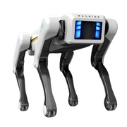 Smart Robot Dog with App Control & Voice Commands V1142-LP601101401467500