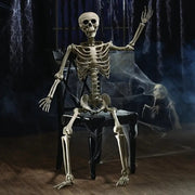 Life Size Standing Skeleton with Movable Joints V1142-LP601103078257558