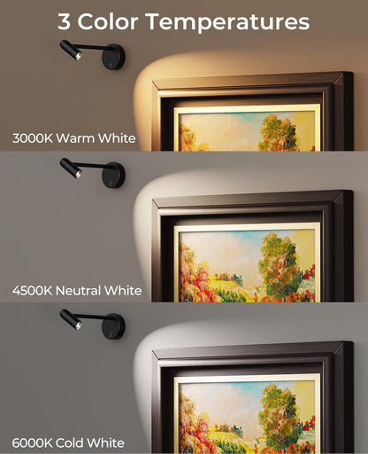 Picture Light for Wall, Battery Operated Art Light for Paintings CCT Dimmable Recharging Gallery Battery Wall V1171-CB-BOM001240-2
