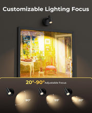 Zoomable Spot Lights Indoor, Rechargeable Picture Light with Remote, Dimmable CCT Spotlight for Wall Art, V1171-CB-BOM001447-2