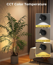 Zoomable Spot Lights Indoor, Rechargeable Picture Light with Remote, Dimmable CCT Spotlight for Wall Art, V1171-CB-BOM001447-2
