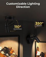 Zoomable Spot Lights Indoor, Rechargeable Picture Light with Remote, Dimmable CCT Spotlight for Wall Art, V1171-CB-BOM001447-2