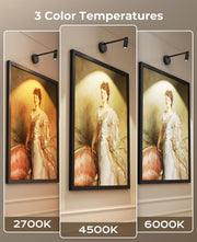 Zoomable Picture Light for Wall, Battery Operated Art Light for Paintings CCT Dimmable Spotlight for Wall Art V1171-CB-BOM001448-2