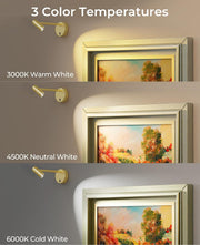 Picture Light for Wall, Battery Operated Art Light for Paintings CCT Dimmable Recharging Gallery Battery Wall V1171-CB-BOM001478