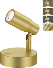 Spot Lights Indoor, Rechargeable Picture Light with Remote, Dimmable CCT Spotlight for Wall Art, 6000mAh V1171-CB-BOM001479