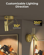 Spot Lights Indoor, Rechargeable Picture Light with Remote, Dimmable CCT Spotlight for Wall Art, 6000mAh V1171-CB-BOM001479-2