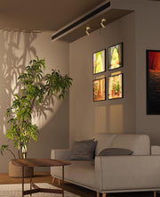 Spot Lights Indoor, Rechargeable Picture Light with Remote, Dimmable CCT Spotlight for Wall Art, 6000mAh V1171-CB-BOM001479-2