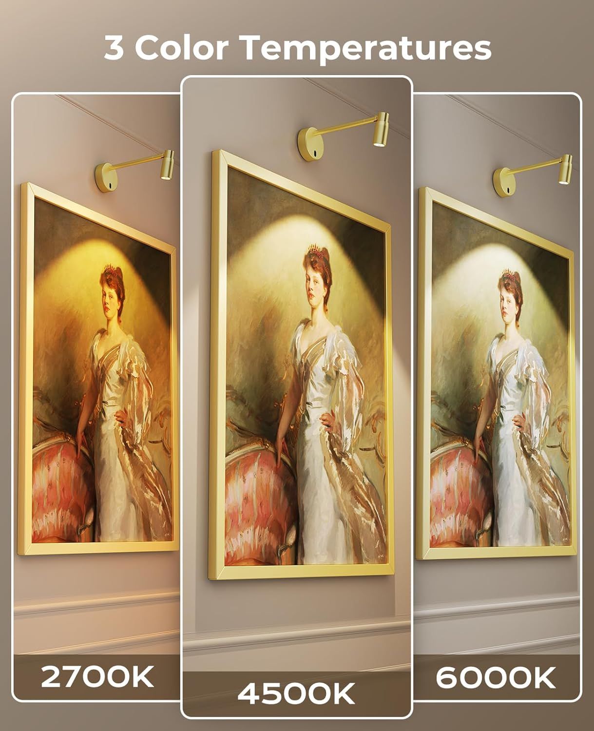 Picture Light for Wall, Battery Operated Art Light for Paintings CCT Dimmable Spotlight for Wall Art Wall V1171-CB-BOM001480-2