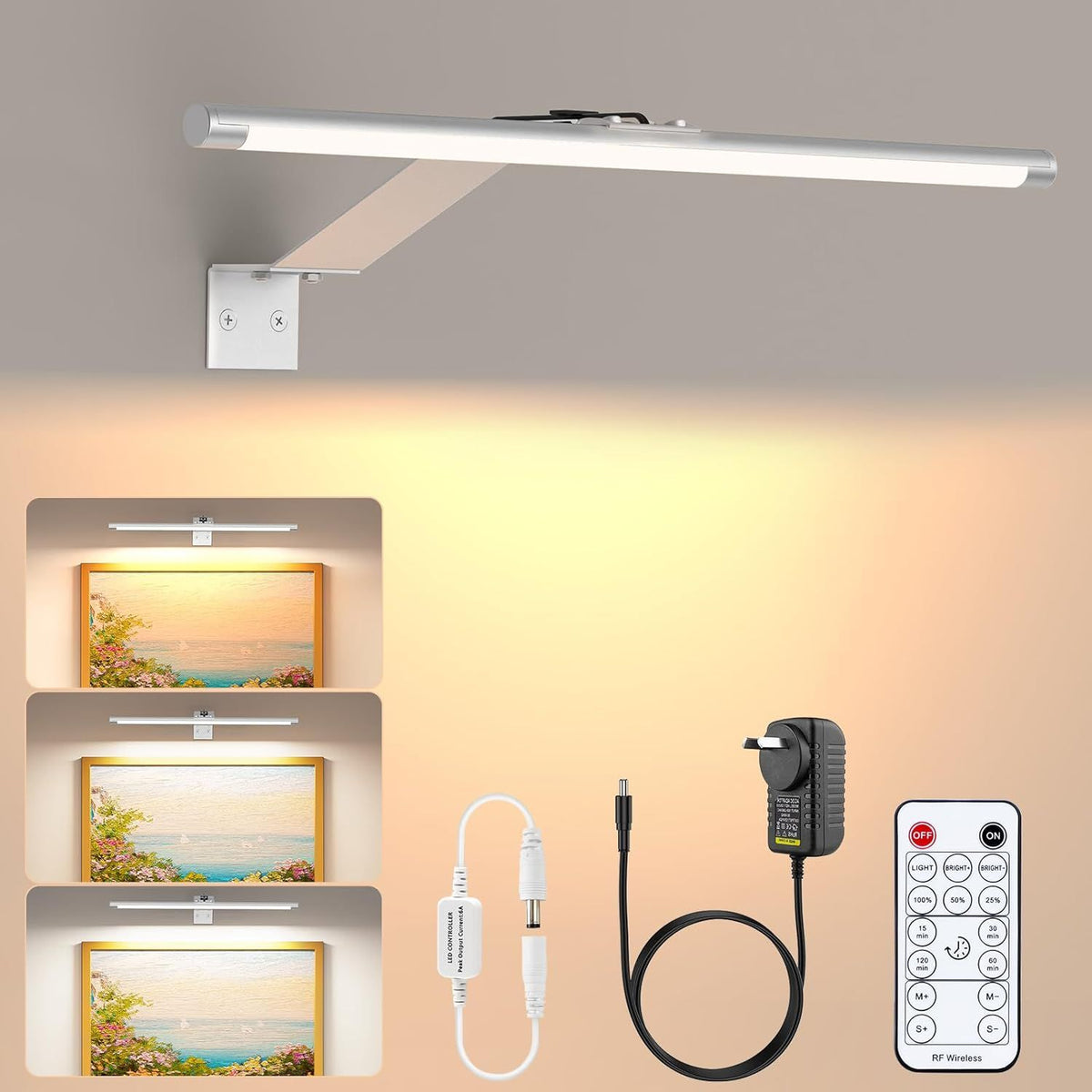 Picture Lights for Wall Plug in or Hardwired,3000K Warm White Dart Board Lights with Remote,13.5inches Silver V1171-CB-BOM001536