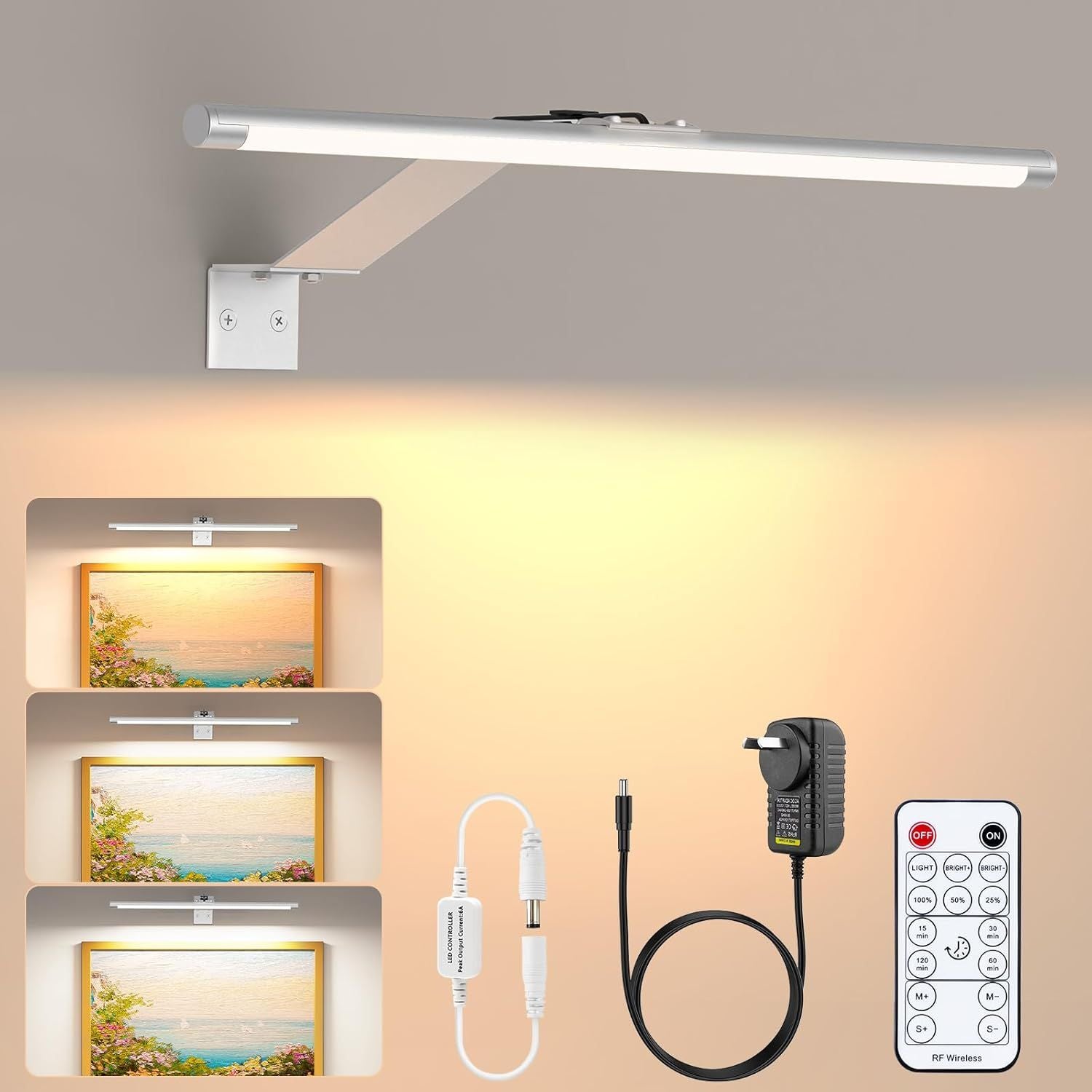 Picture Lights for Wall Plug in or Hardwired,3000K Warm White Dart Board Lights with Remote,13.5inches Silver V1171-CB-BOM001536