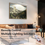 Picture Lights for Wall Plug in or Hardwired,3000K Warm White Dart Board Lights with Remote,13.5inches Silver V1171-CB-BOM001536