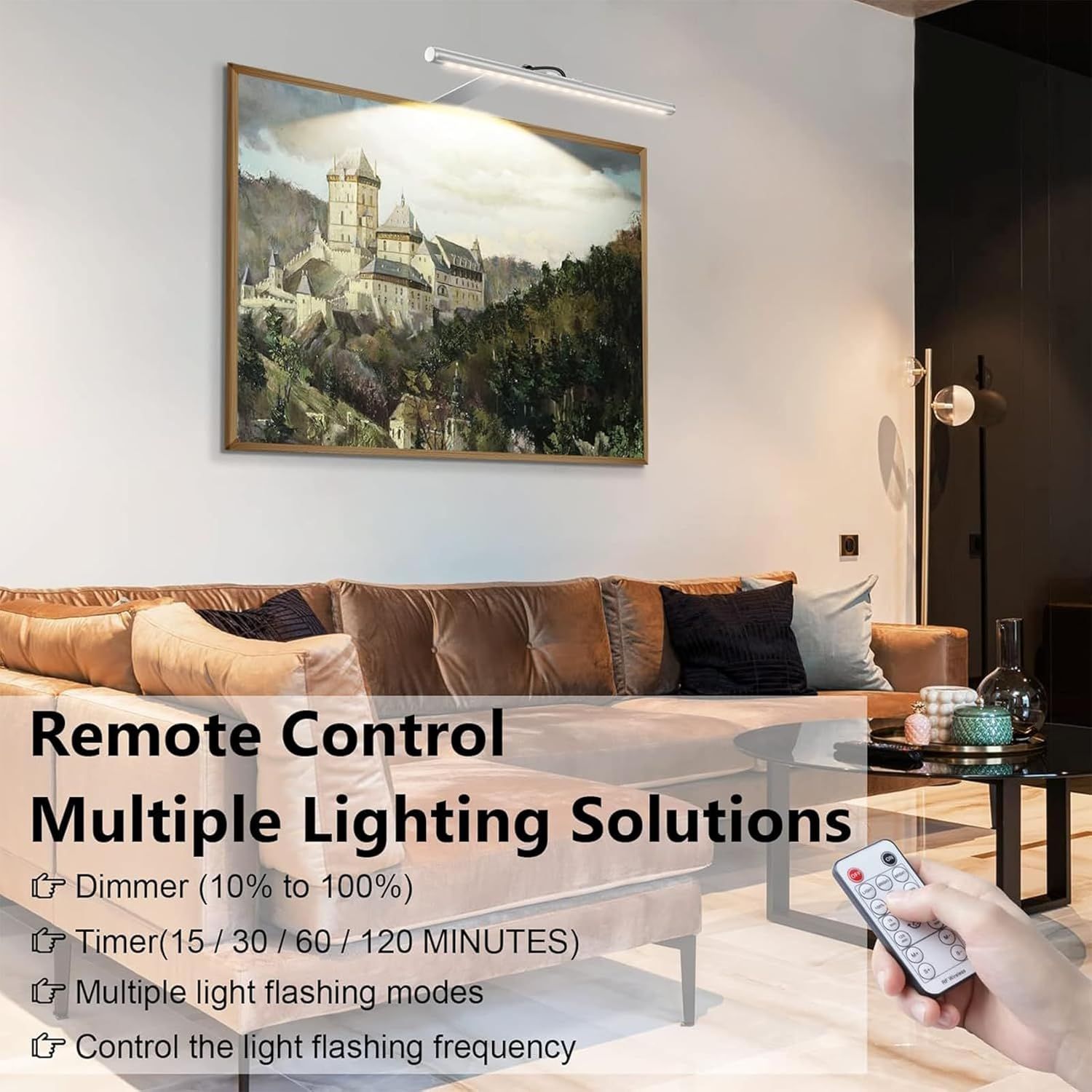 Picture Lights for Wall Plug in or Hardwired,3000K Warm White Dart Board Lights with Remote,13.5inches Silver V1171-CB-BOM001536