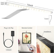 Picture Lights for Wall Plug in or Hardwired,3000K Warm White Dart Board Lights with Remote,13.5inches Silver V1171-CB-BOM001536