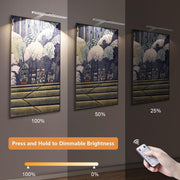 Picture Lights for Wall Plug in or Hardwired,3000K Warm White Dart Board Lights with Remote,13.5inches Silver V1171-CB-BOM001536