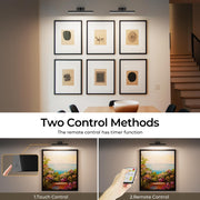 Picture Lights for Wall, Battery Operated Picture Light 16in Gallery Light for Paintings CCT Dimmable V1171-CB-TR-BPL-1-USB-RM-40CM