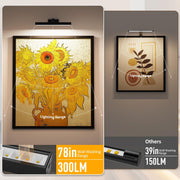 Picture Lights for Wall, Battery Operated Picture Light 16in Gallery Light for Paintings CCT Dimmable V1171-CB-TR-BPL-1-USB-RM-40CM