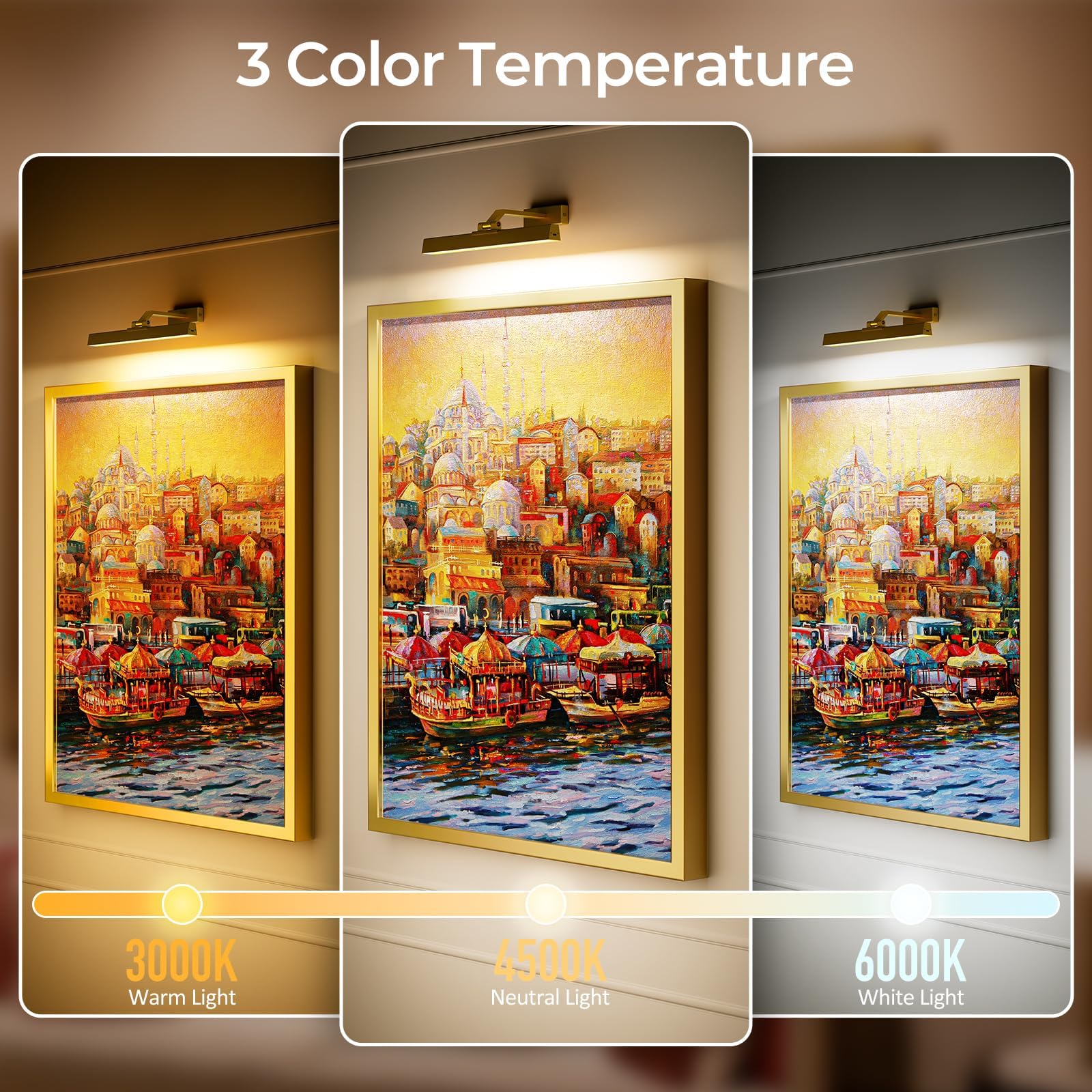 Picture Lights for Wall, Battery Operated Picture Light 16in Gallery Light for Paintings CCT Dimmable Gold V1171-CB-TR-GPL-1-USB-RM-40CM