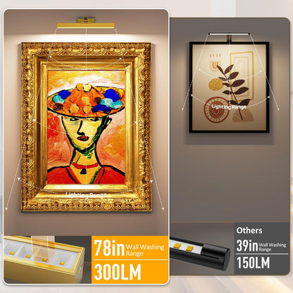 Picture Lights for Wall, Battery Operated Picture Light 16in Gallery Light for Paintings CCT Dimmable Gold V1171-CB-TR-GPL-1-USB-RM-40CM