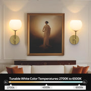 Rechargeable Wall Light Indoor,Battery Operated Wall Lamp with Remote,Indoor Wall Light with 3 Color Modes V1171-CB-WLG-SQUARE-CCT-RGB-USB2