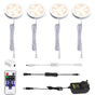 Dimmable LED Under Cabinet Lighting, Counter Showcase Kitchen Lighting Fixtures with 12V Plug in adapter and V1171-CC-BDPBCD004