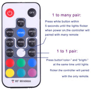 Mini Remote Controller for RGB Color LED Strip Lights, RF Dimmer for 12V DC LED Ribbon, LED Neon Sign, V1171-CP-300000160