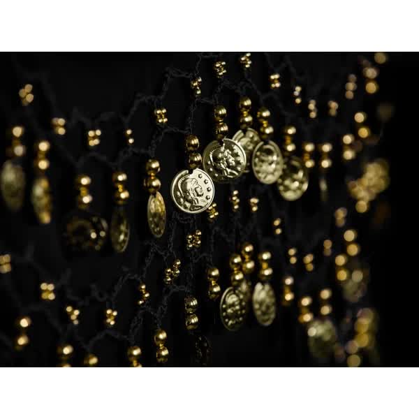 Belly Dance Hip Scarf with 128 Gold Coins, Mardi Gras Carnival Performance Belt Costume V1188-CAQQ-138430-1