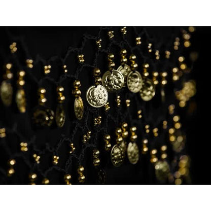 Belly Dance Hip Scarf with 128 Gold Coins, Mardi Gras Carnival Performance Belt Costume V1188-CAQQ-138430-1
