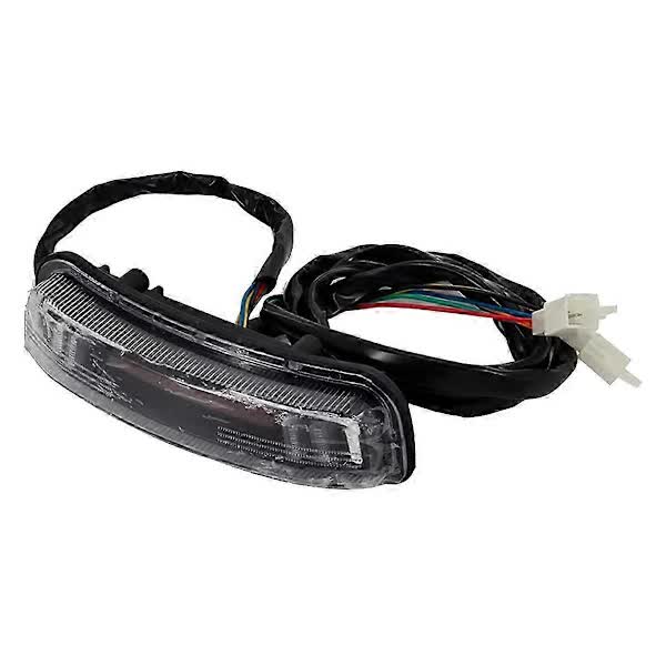 Universal LED Tail Light Turn Signal Brake Light Compatible with Citycoco Electric Scooter 60V V1188-CAQQ-76546-1