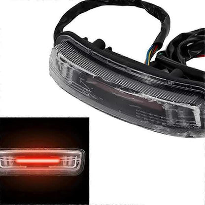 Universal LED Tail Light Turn Signal Brake Light Compatible with Citycoco Electric Scooter 60V V1188-CAQQ-76546-1