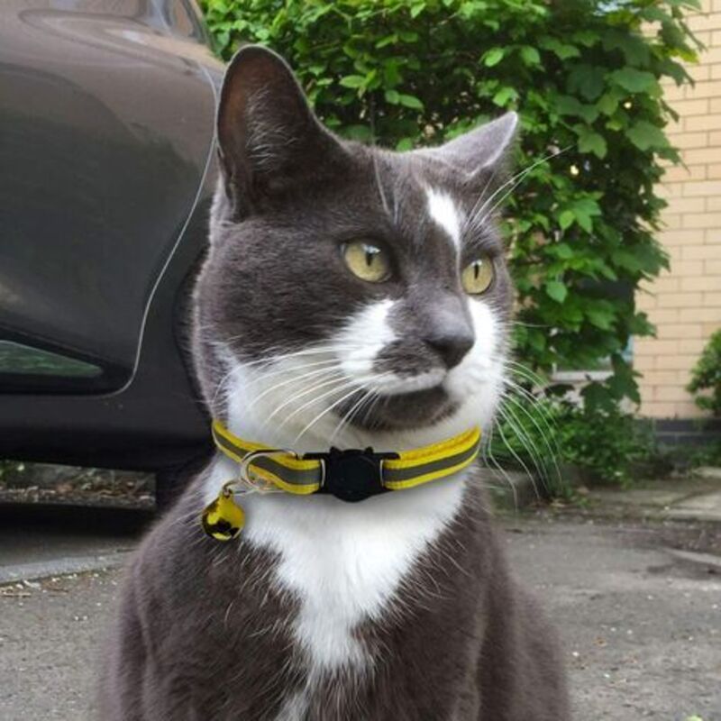 Adjustable Reflective Collars for Cats and Puppies with Bell and Safety Buckle, 6X Multicolor Pet Accessories V1188-CE-78-02077