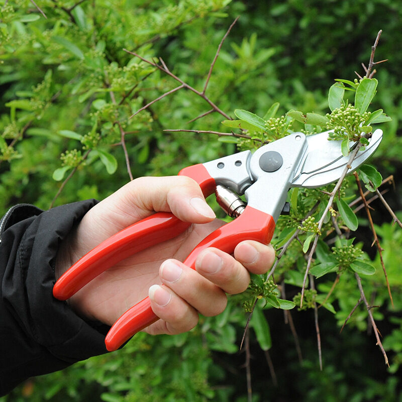 Left-Handed Secateurs, Side-Cutting, 25 mm x 210 mm x 65 mm V1188-CE-Y721-02247