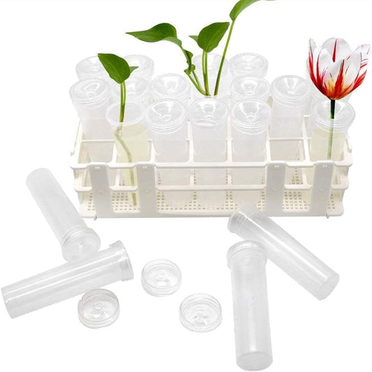 21 Pack 60ml Large Floral Tubes with Rack Holder for Milkweed Cuttings, Raising Caterpillars, Monarchs, V1188-CYX-DP-174