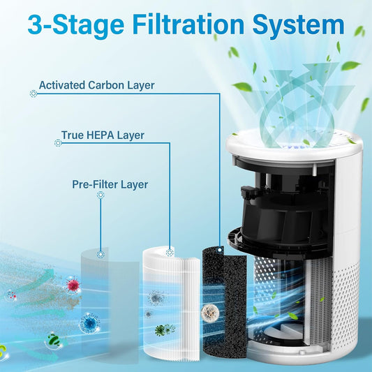 B-D02L M05 Replacement Filter for MOOKA B-D02L & M05, for KOIOS B-D02L, for VEWIOR B-D02U, for Tailulu D10 V1188-CYX-LHJ-1560