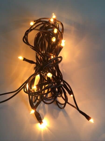 for 20ct Count Teeny Tiny Rice Light Set String Brown Wire Cord Primitive Craft Farm Seasonal Ornaments Home V1188-CYX-LHJ-742