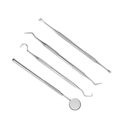 Dentist Stainless Steel Tartar Remover Set of 4 V1188-HN5-60-1