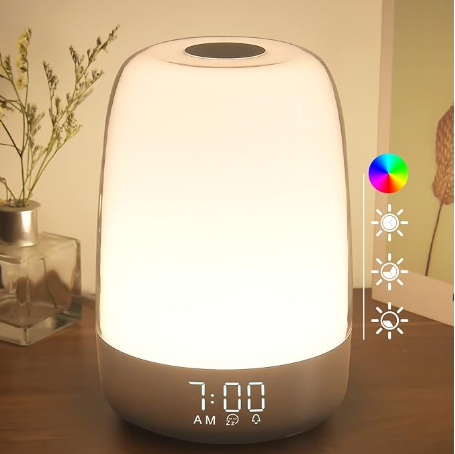 Touch Wake Up Night Light with Sunrise Simulation Alarm Clock, 3 Ways Dimmable Warm White Bedside Lamp for V1188-MS-205-10