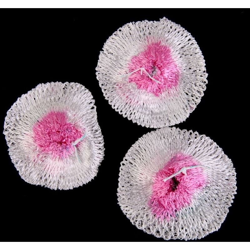 3 pcs Replacement Mantles For Camping Gas Lantern Lamp V1188-MS-227-0083