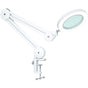 Magnifying Lamp, Work Light - With 105Mm 5 Diopter Glass Lens, Metal Clamp, Swivel Arm, 3 Color Mode Dimmable V1188-MS-227-0104
