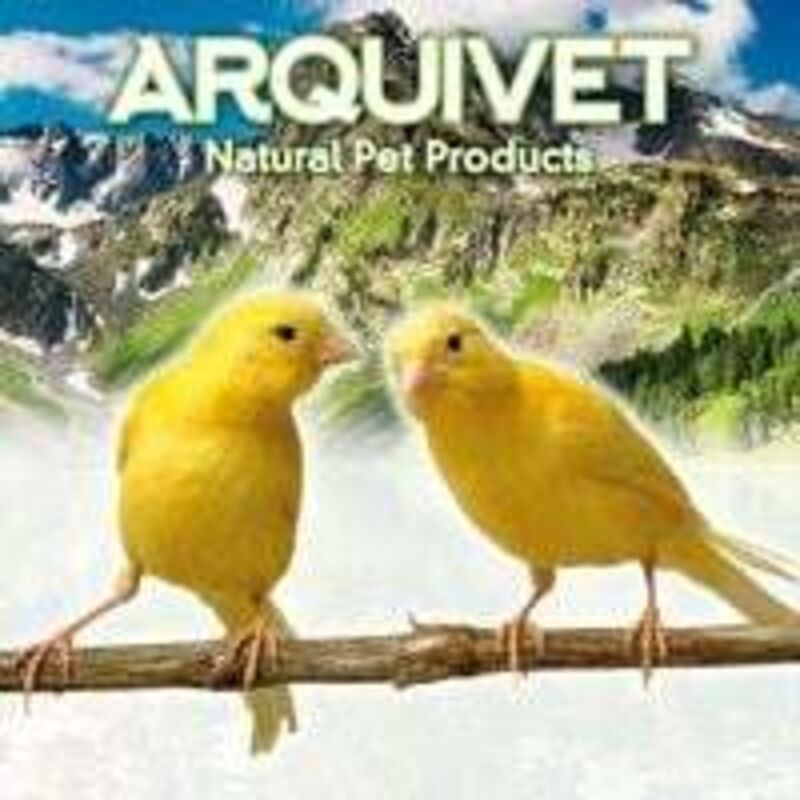 Replacement Bird Cage Feeder - Bird Cage Accessories - Bird Accessories - Bird Feeders - Bird Food V1188-MS-227-0514
