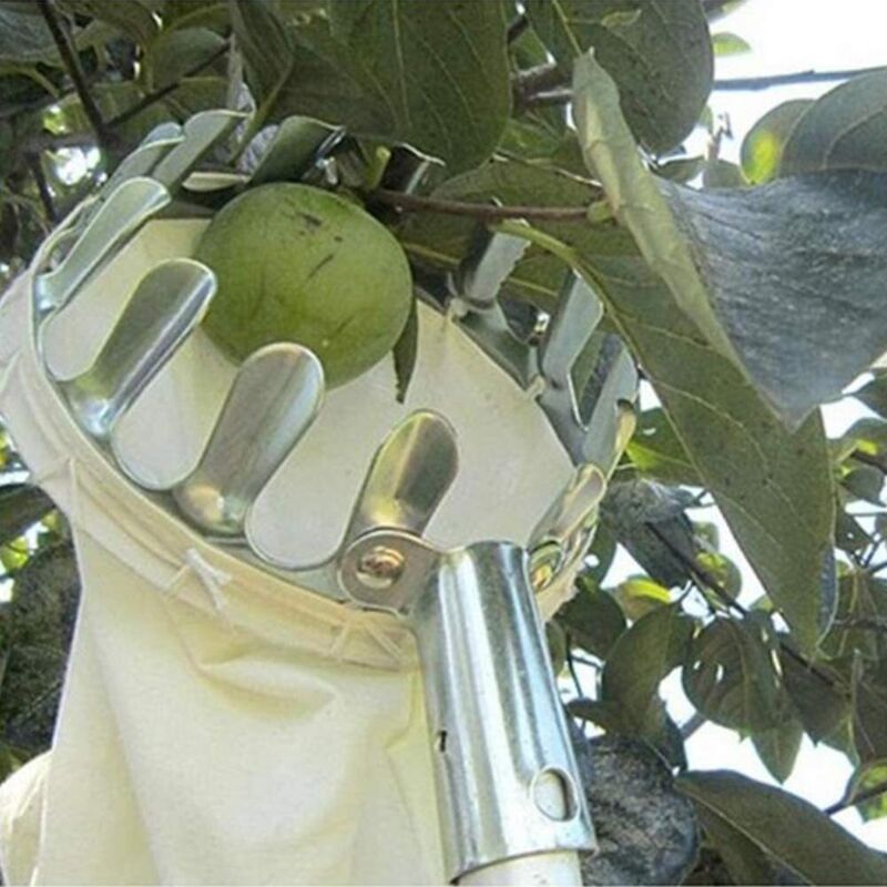 Fruit Picker Without Metal Telescopic Handle, Apple Picker With Protective Cover 160Mm V1188-MS-227-0583
