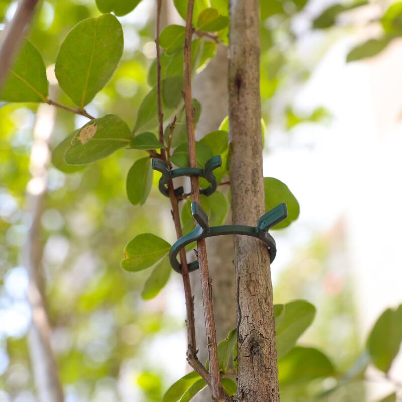 200 pcs Plant Support Clips,Plastic Plant Clips,Climbing Plant Fixing Clips,Garden Clips,For V1188-MS-227-0649
