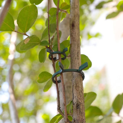 200 pcs Plant Support Clips,Plastic Plant Clips,Climbing Plant Fixing Clips,Garden Clips,For V1188-MS-227-0649
